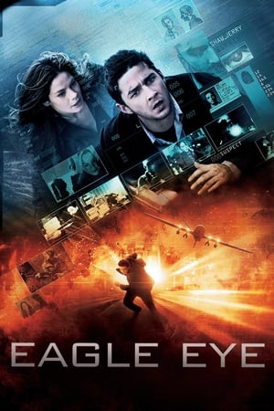 Eagle Eye (2008) Hindi Dual Audio [1.3GB] ESubs HD Poster Download - filmyfly
