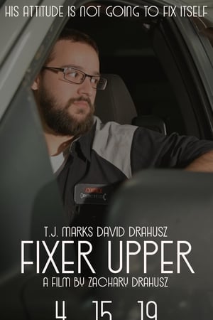 Fixer Upper (2019) Hindi Dual Audio 300MB HD Poster Download - filmyfly