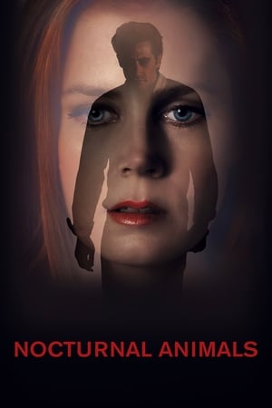 Nocturnal Animals (2016) Hindi Dual Audio [1GB] HD Poster Download - filmyfly