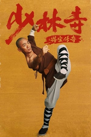 Rising Shaolin: The Protector (2021) Hindi Dual Audio – HD Poster Download - filmyfly