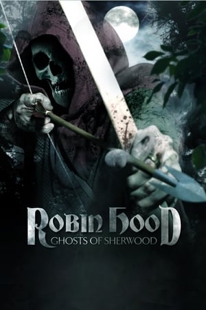 Robin Hood: Ghosts of Sherwood (2012) Hindi Dual Audio [1GB] HD Poster Download - filmyfly