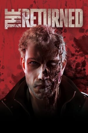 The Returned 2013 Dual Audio Hindi Full Movie - 900MB HD Poster Download - filmyfly